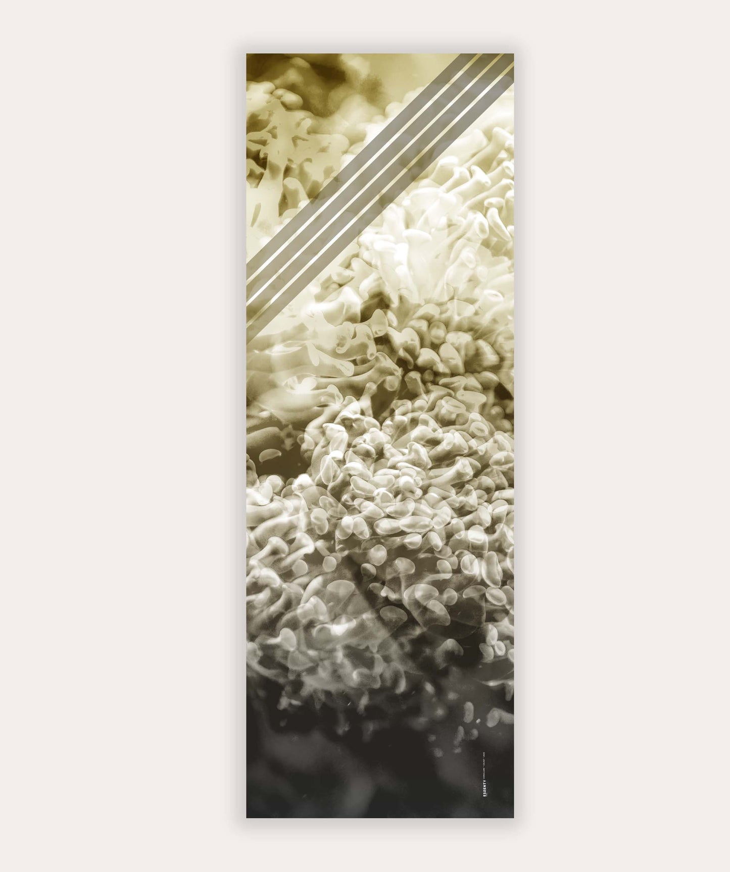 CELEST CORALLURE SCARF