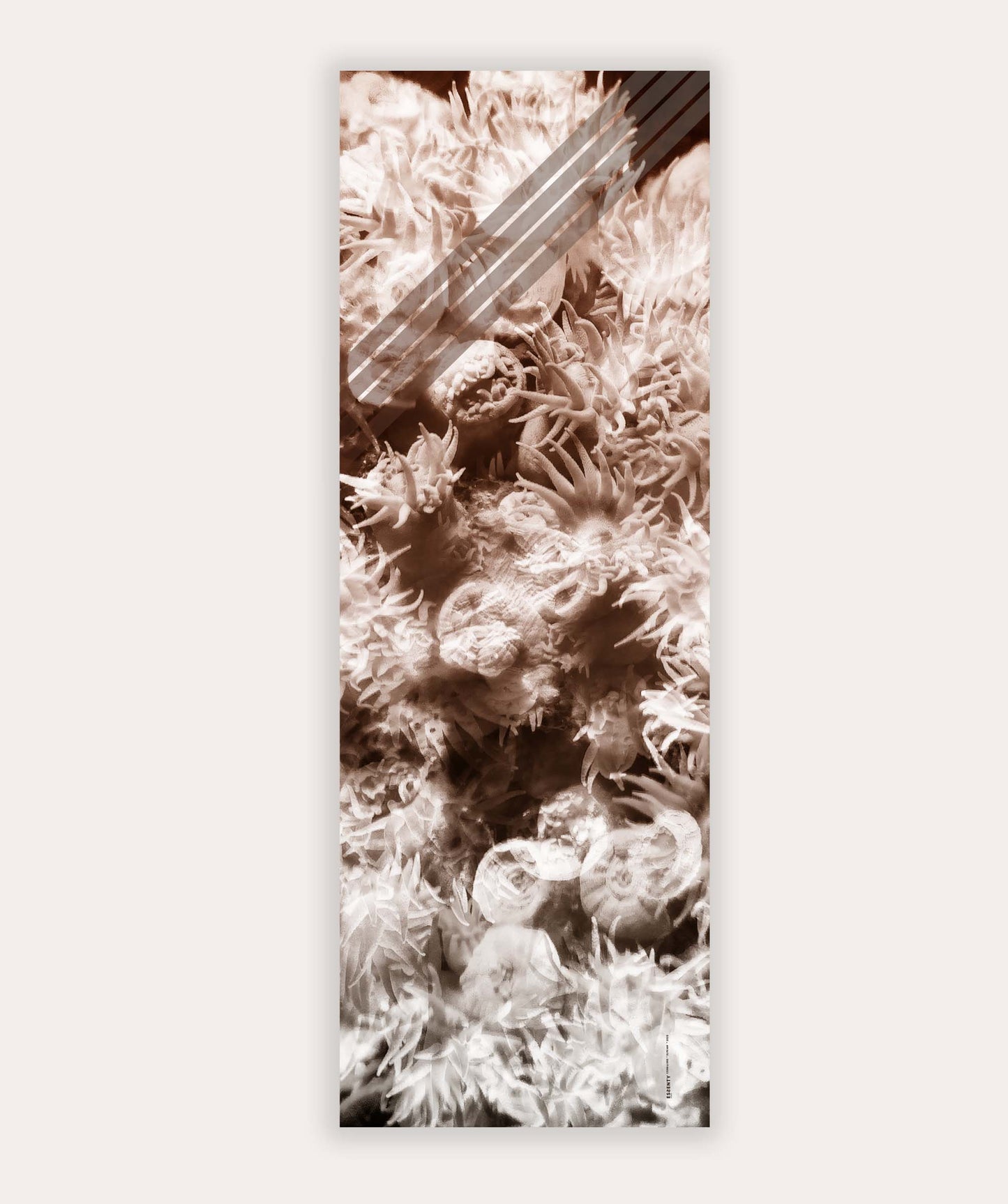 ELYSIAN CORALLURE SCARF